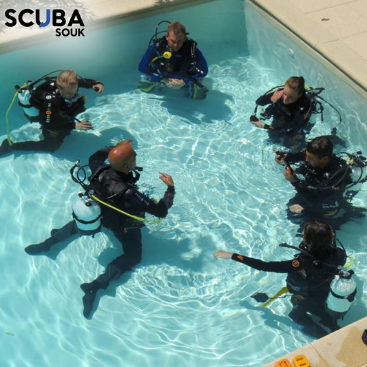 Formations de plongée sous-marine (Niveau 1, Niveau 2, Niveau 3)